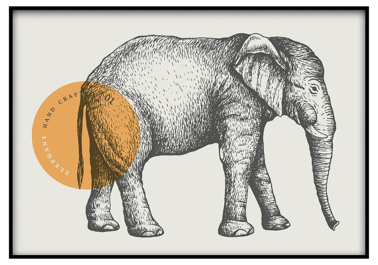 Cuadro Dibujo Elefante freeshipping - Home and Living