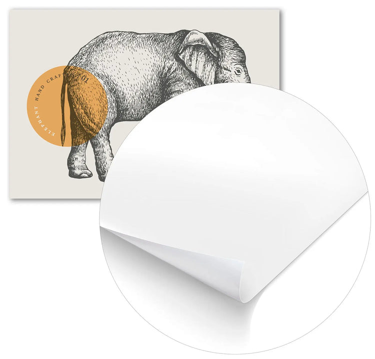 Cuadro Dibujo Elefante freeshipping - Home and Living