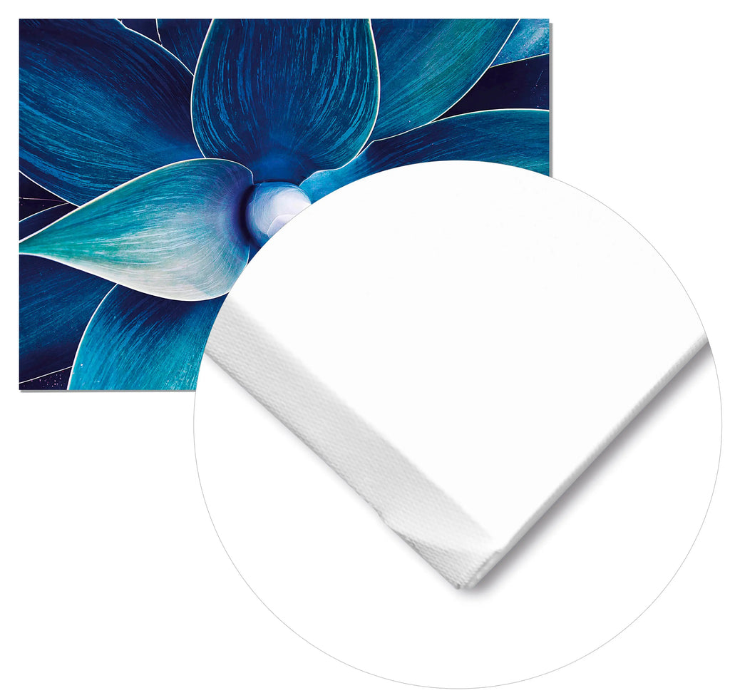 Cuadro Ágave Floral freeshipping - Home and Living