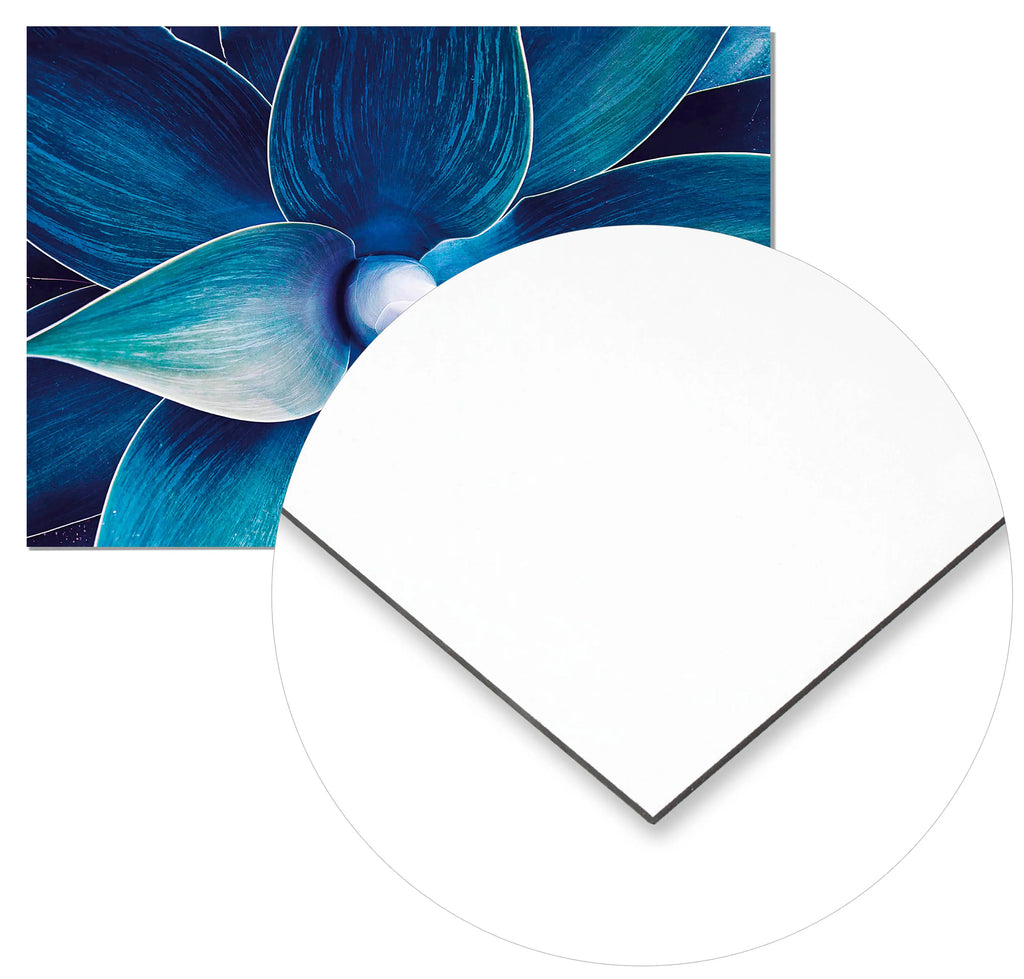 Cuadro Ágave Floral freeshipping - Home and Living
