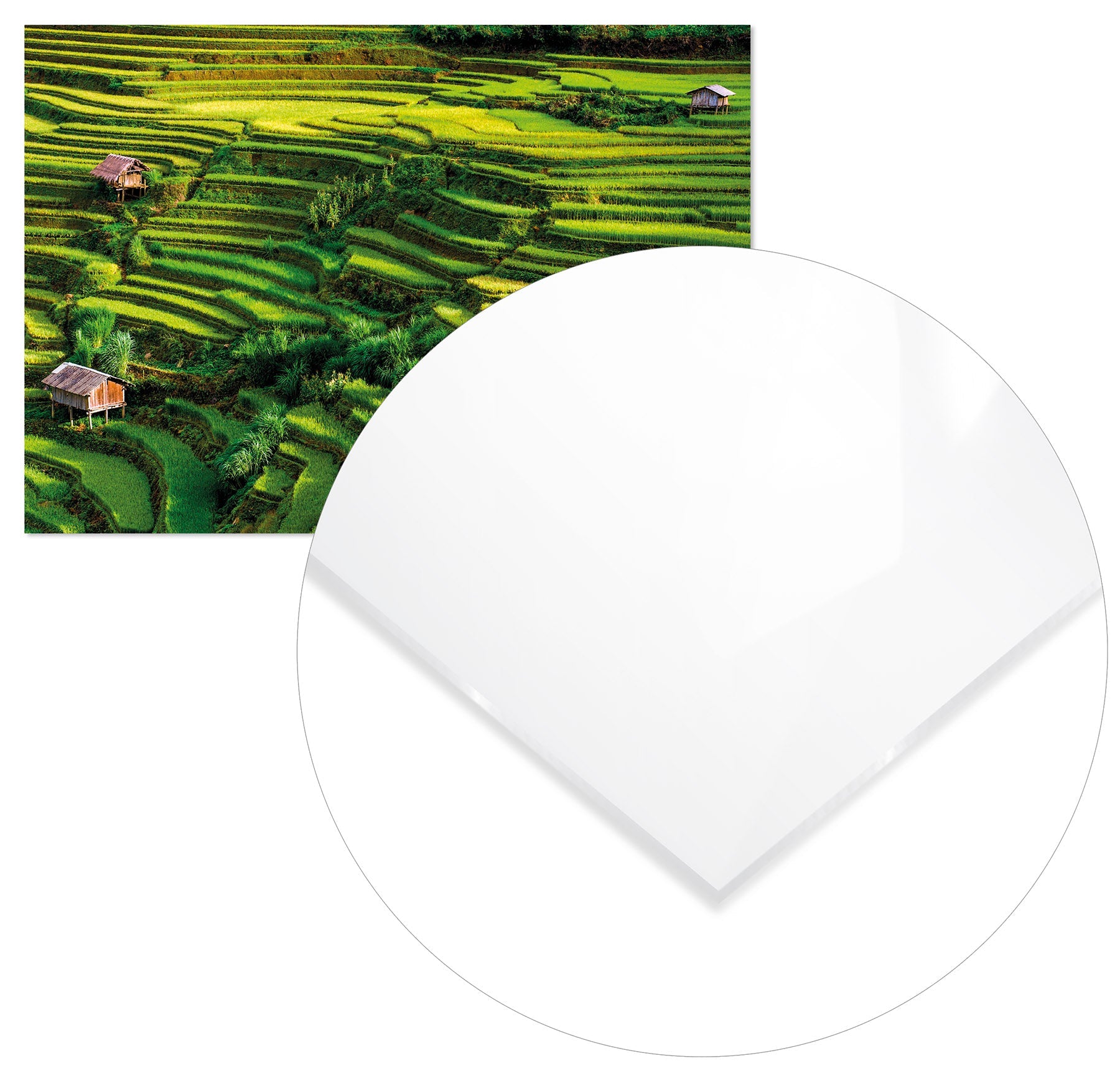 Cuadro Arrozales Bali Home & Living 