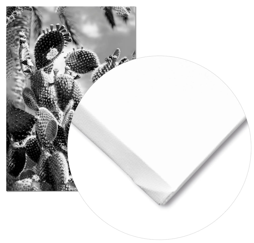 Cuadro Cactus Blanco y Negro freeshipping - Home and Living