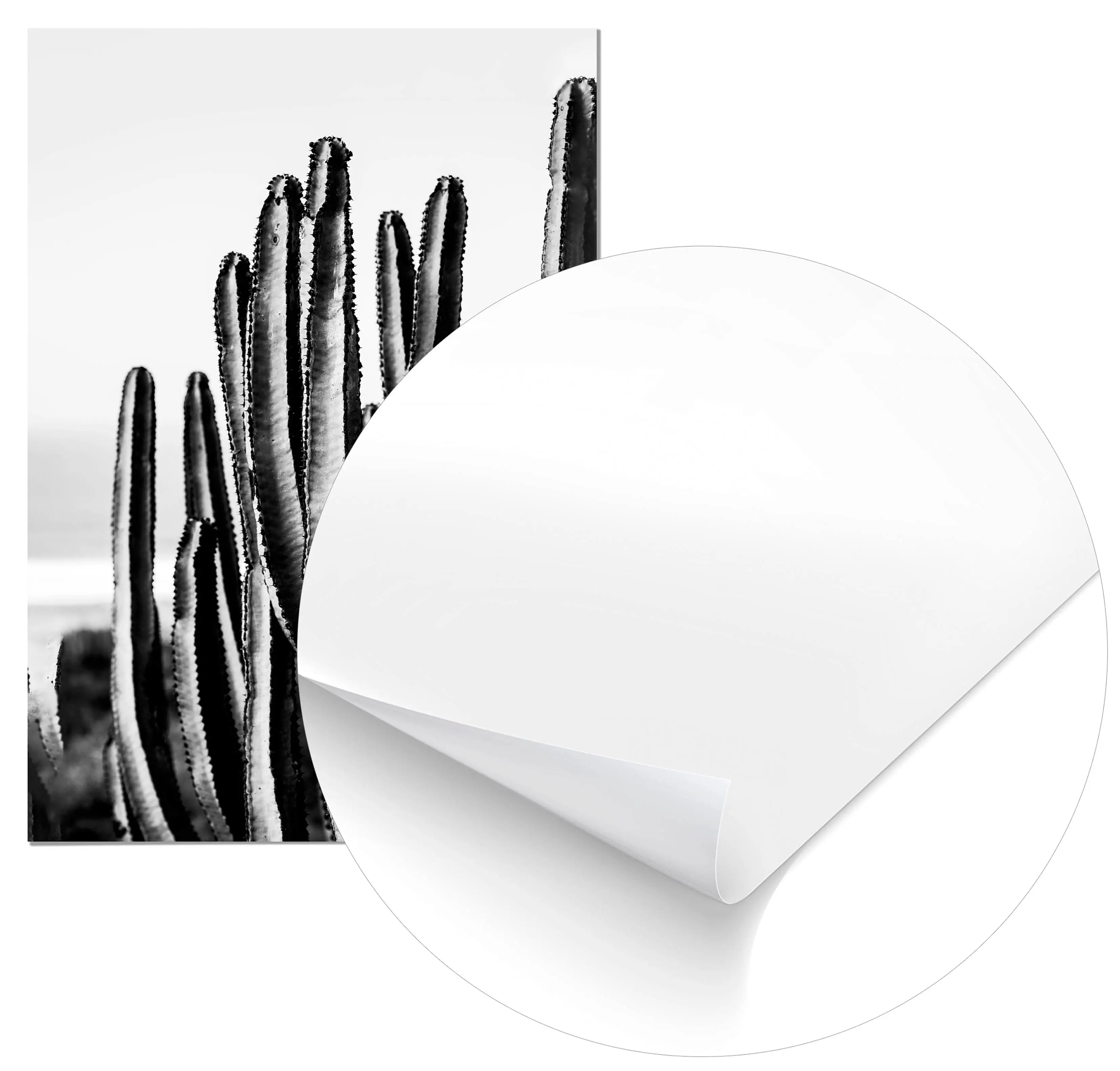 Cuadro Cactus freeshipping - Home and Living