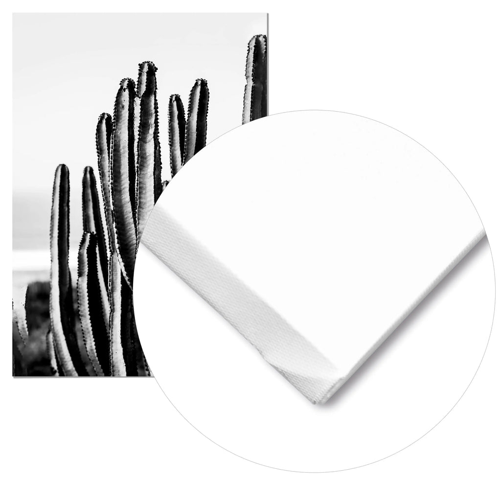 Cuadro Cactus freeshipping - Home and Living
