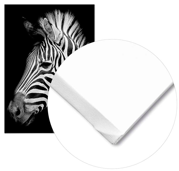 Cuadro Cebra Home & Living 