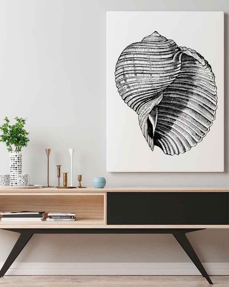 Cuadro Concha de Mar Vintage Home & Living 
