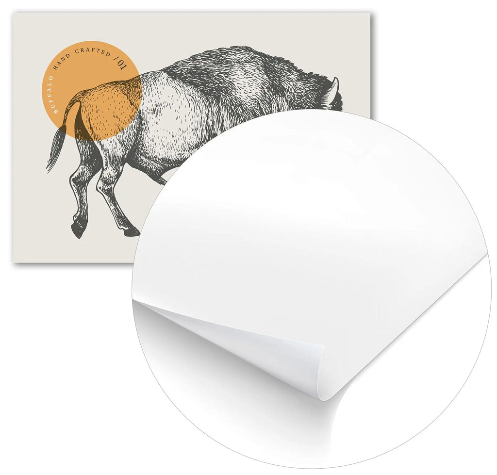 Cuadro Dibujo Búfalo Americano Home & Living Póster70x100cm