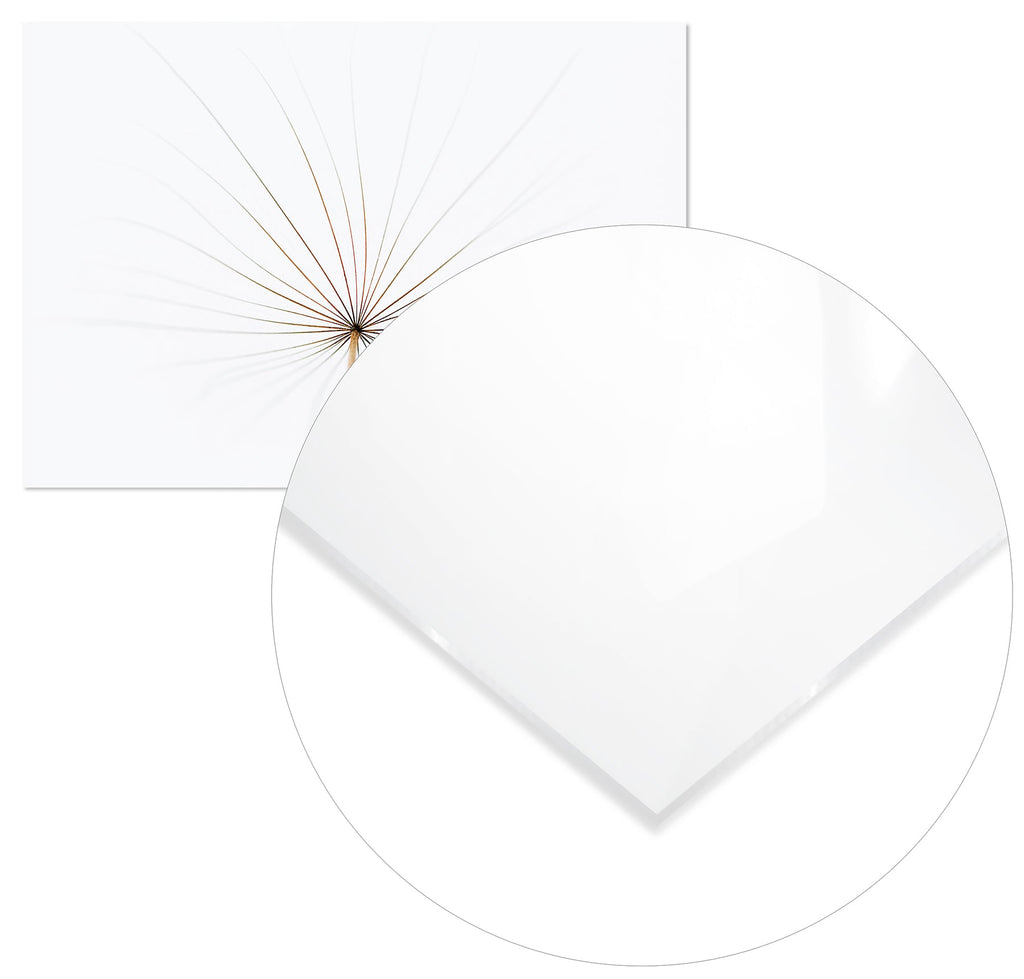 Cuadro Diente de León Home & Living 