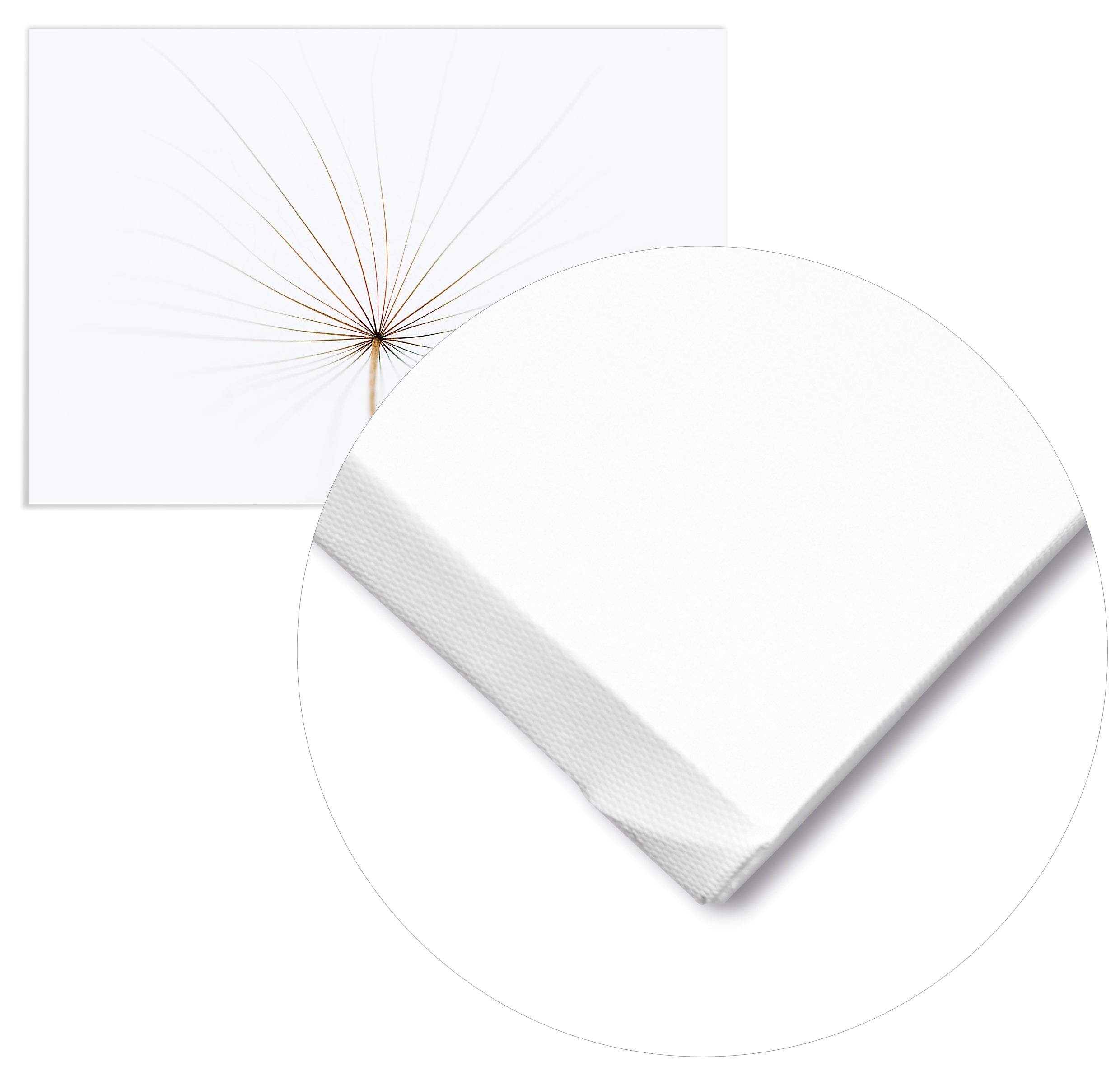 Cuadro Diente de León Home & Living 