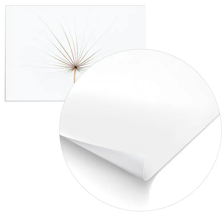 Cuadro Diente de León Home & Living 