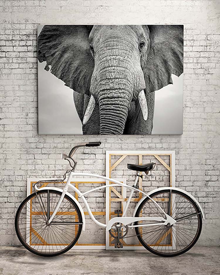 Cuadro Elefante Home & Living 