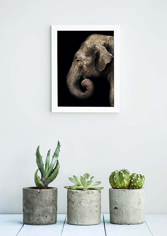 Cuadro Elefante Perfil Home & Living 
