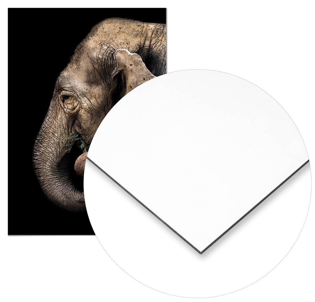 Cuadro Elefante Perfil Home & Living 