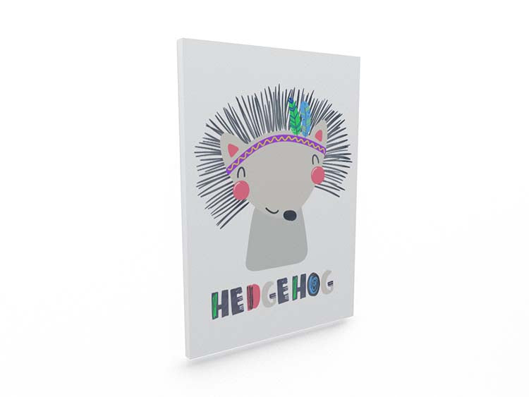 Cuadro Erizo Home & Living 