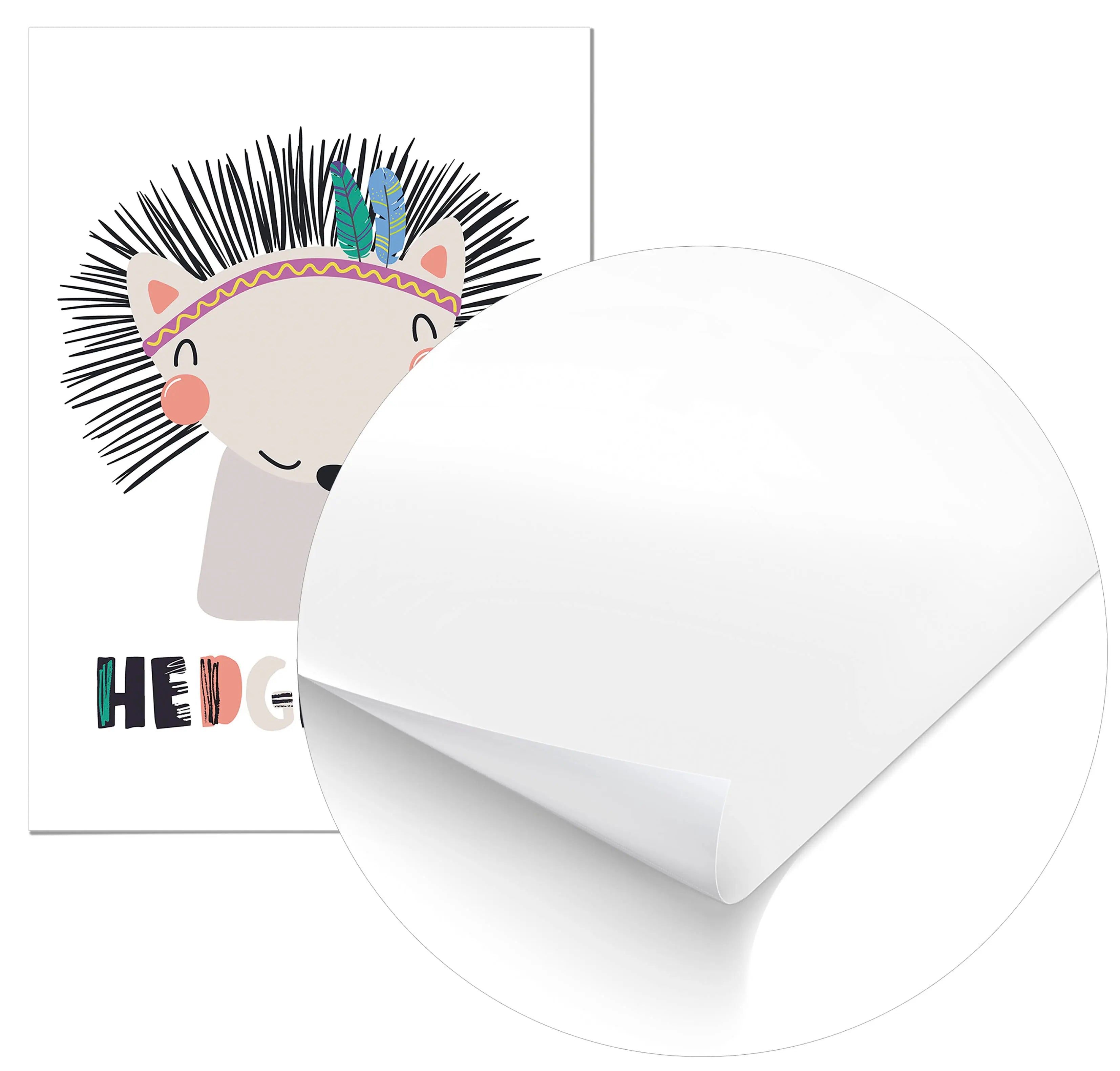 Cuadro Erizo Home & Living Póster70x100cm