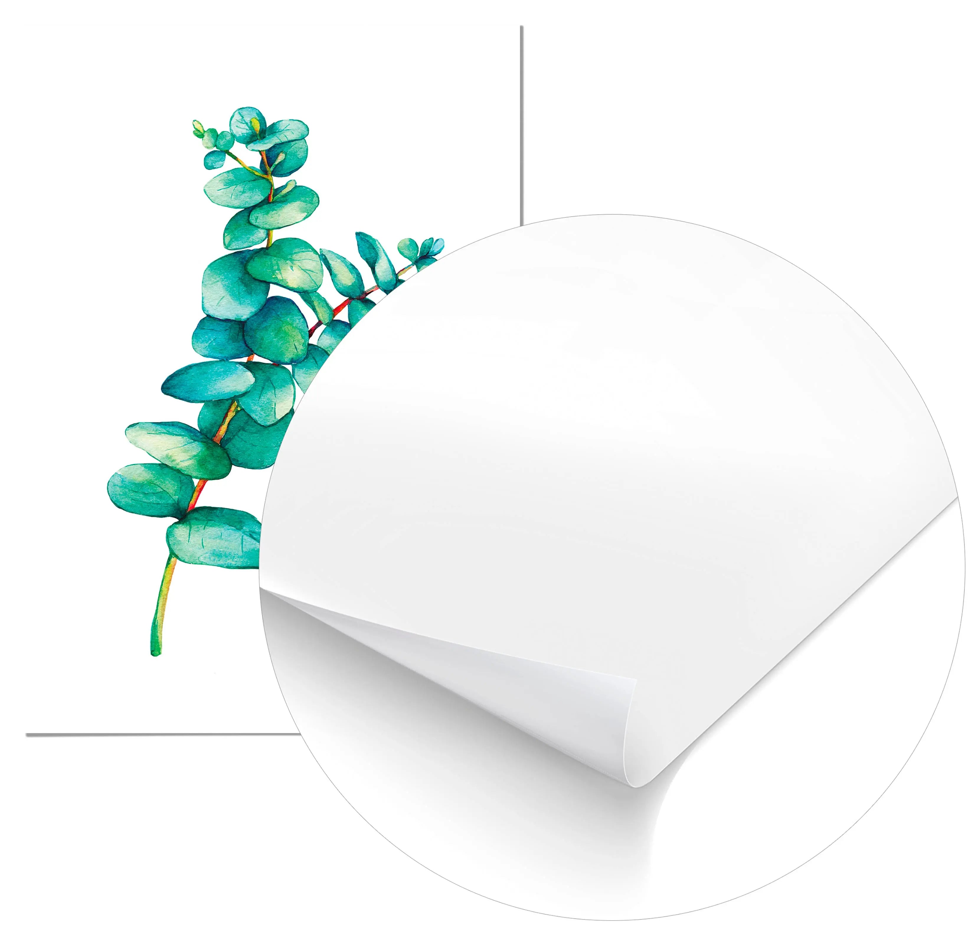 Cuadro Eucaliptus freeshipping - Home and Living