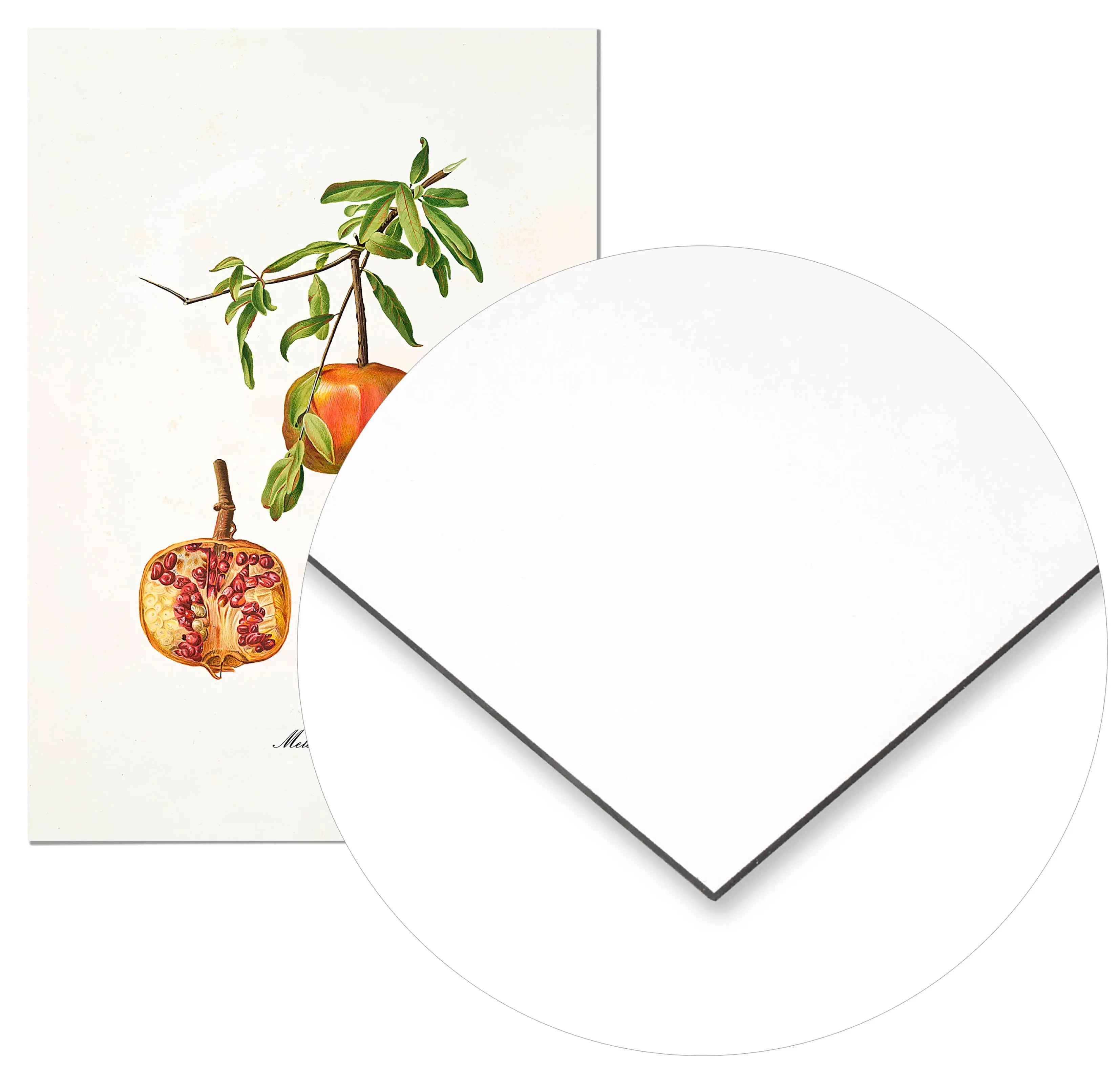 Cuadro Granada Vintage freeshipping - Home and Living