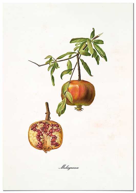 Cuadro Granada Vintage Home & Living 