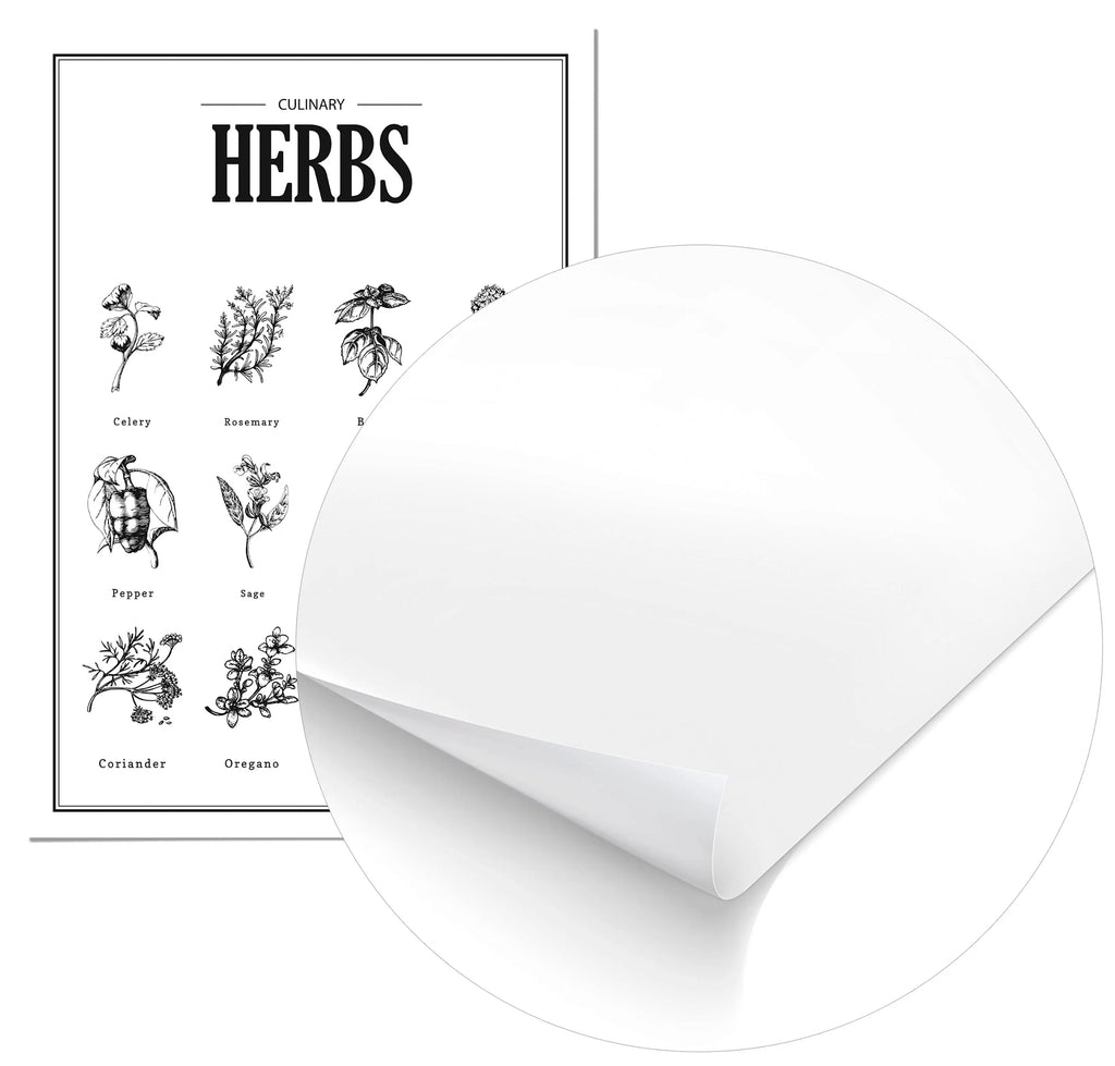 Cuadro Hierbas Home & Living Póster70x100cm