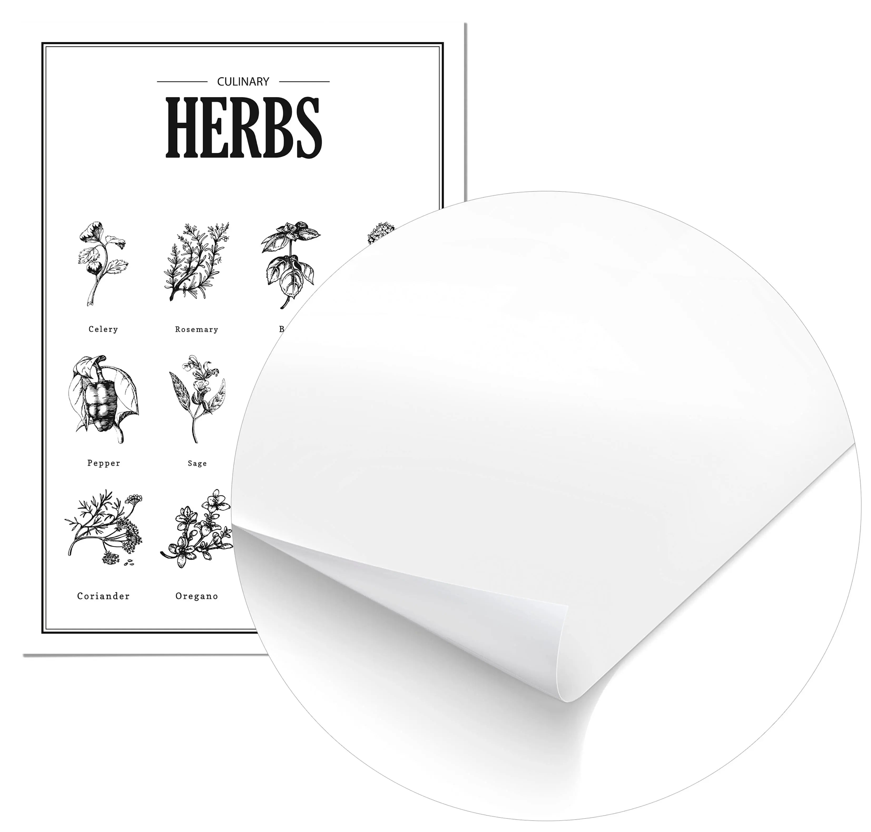 Cuadro Hierbas Home & Living Póster70x100cm