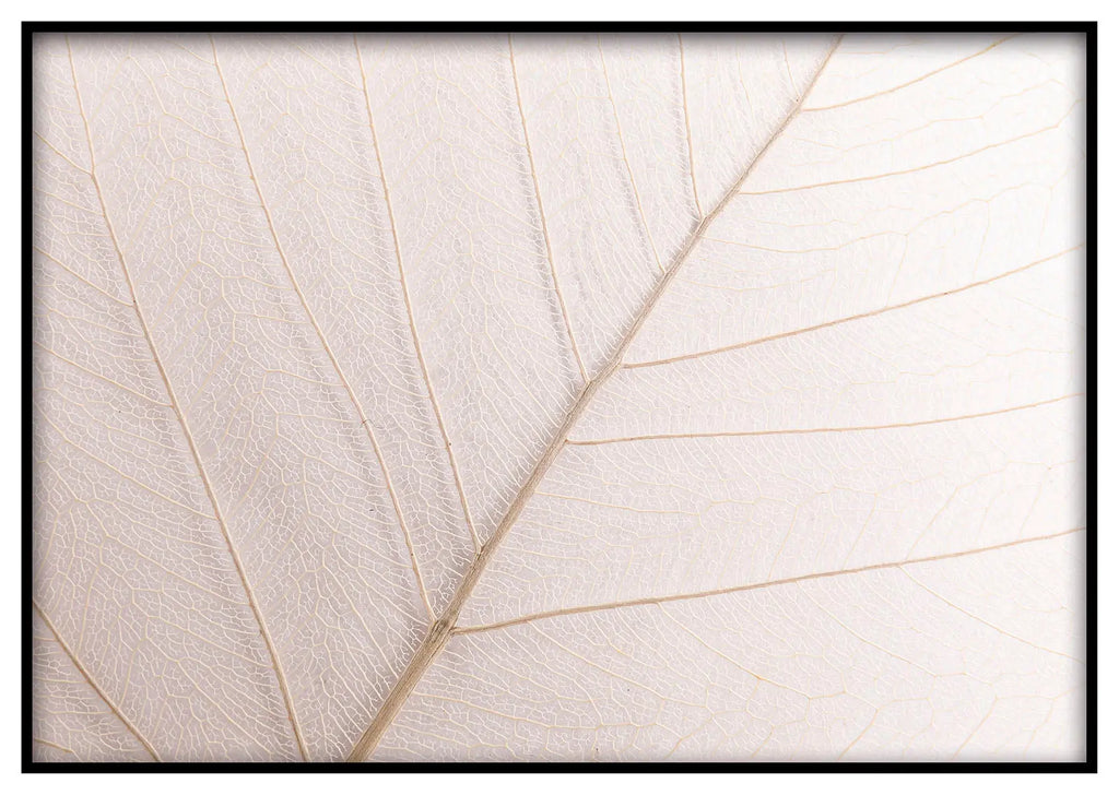 Cuadro Hoja Neutra freeshipping - Home and Living