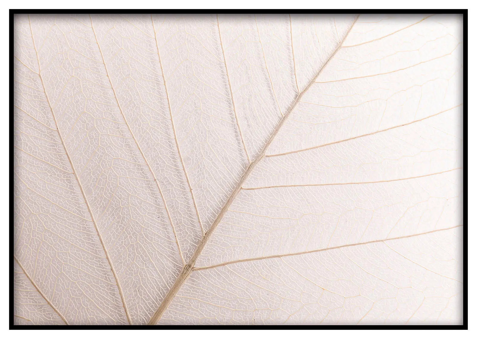 Cuadro Hoja Neutra freeshipping - Home and Living