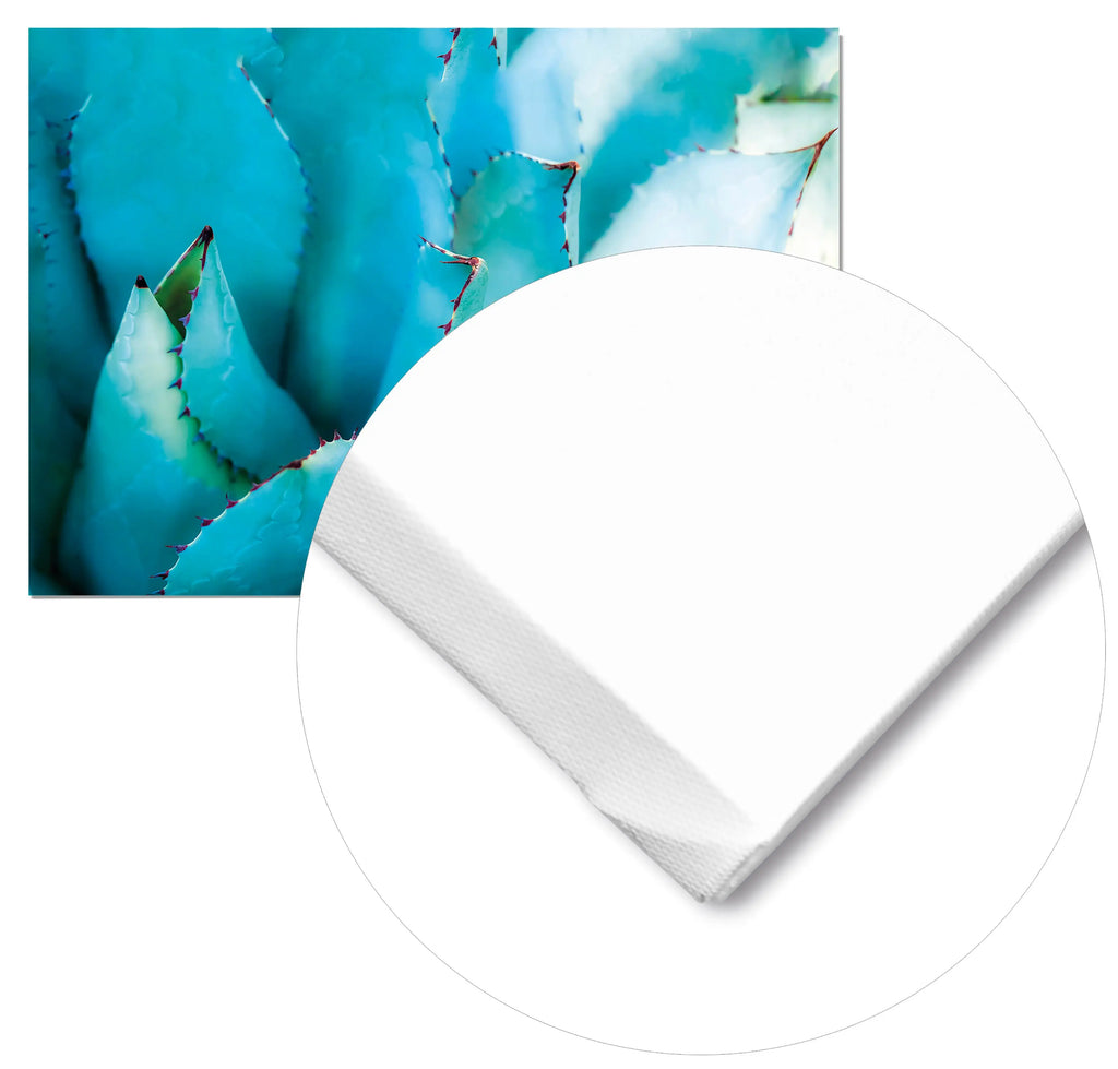Cuadro Hojas Ágave freeshipping - Home and Living