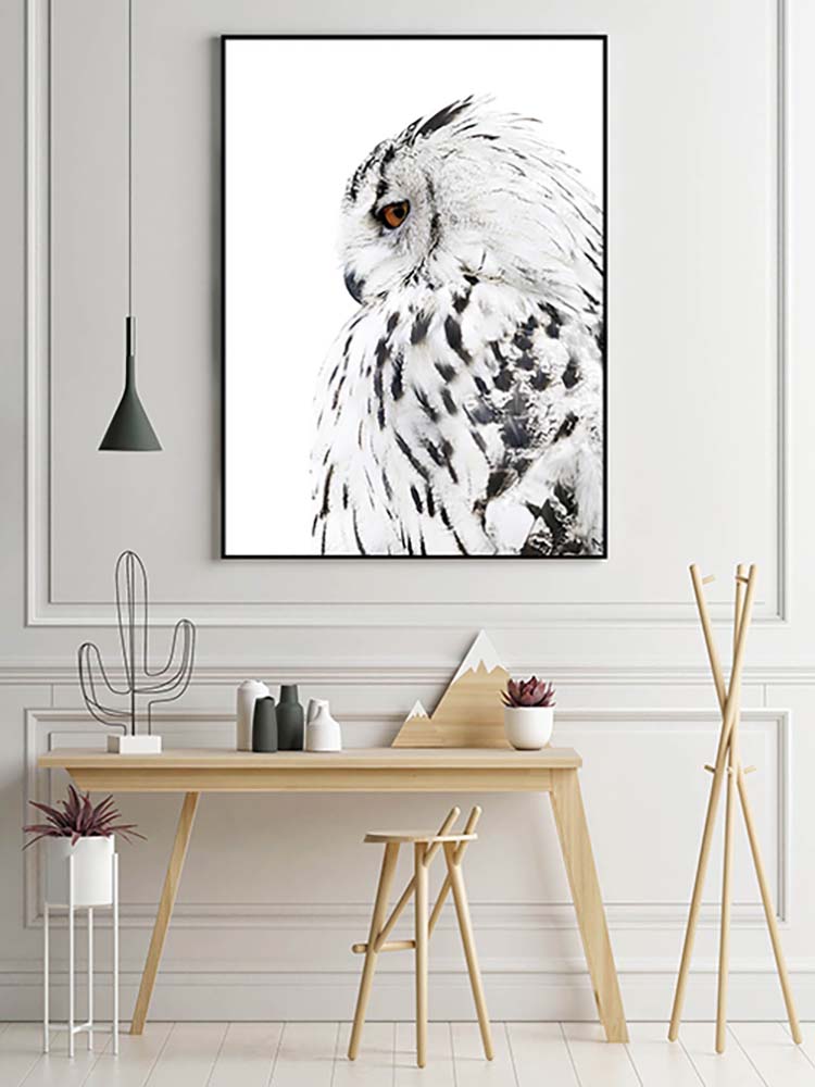 Cuadro Lechuza Perfil Derecho Home & Living 