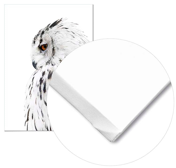 Cuadro Lechuza Perfil Derecho Home & Living 