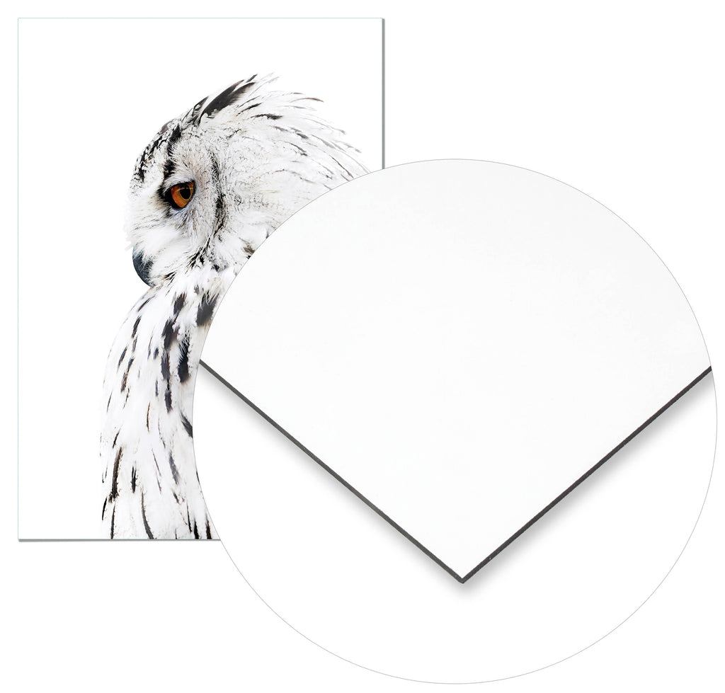 Cuadro Lechuza Perfil Derecho Home & Living 