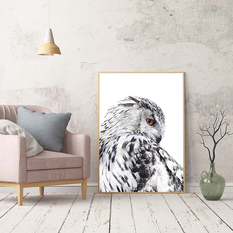 Cuadro Lechuza Perfil Izquierdo Home & Living 