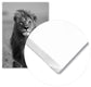 Cuadro León Africano freeshipping - Home and Living