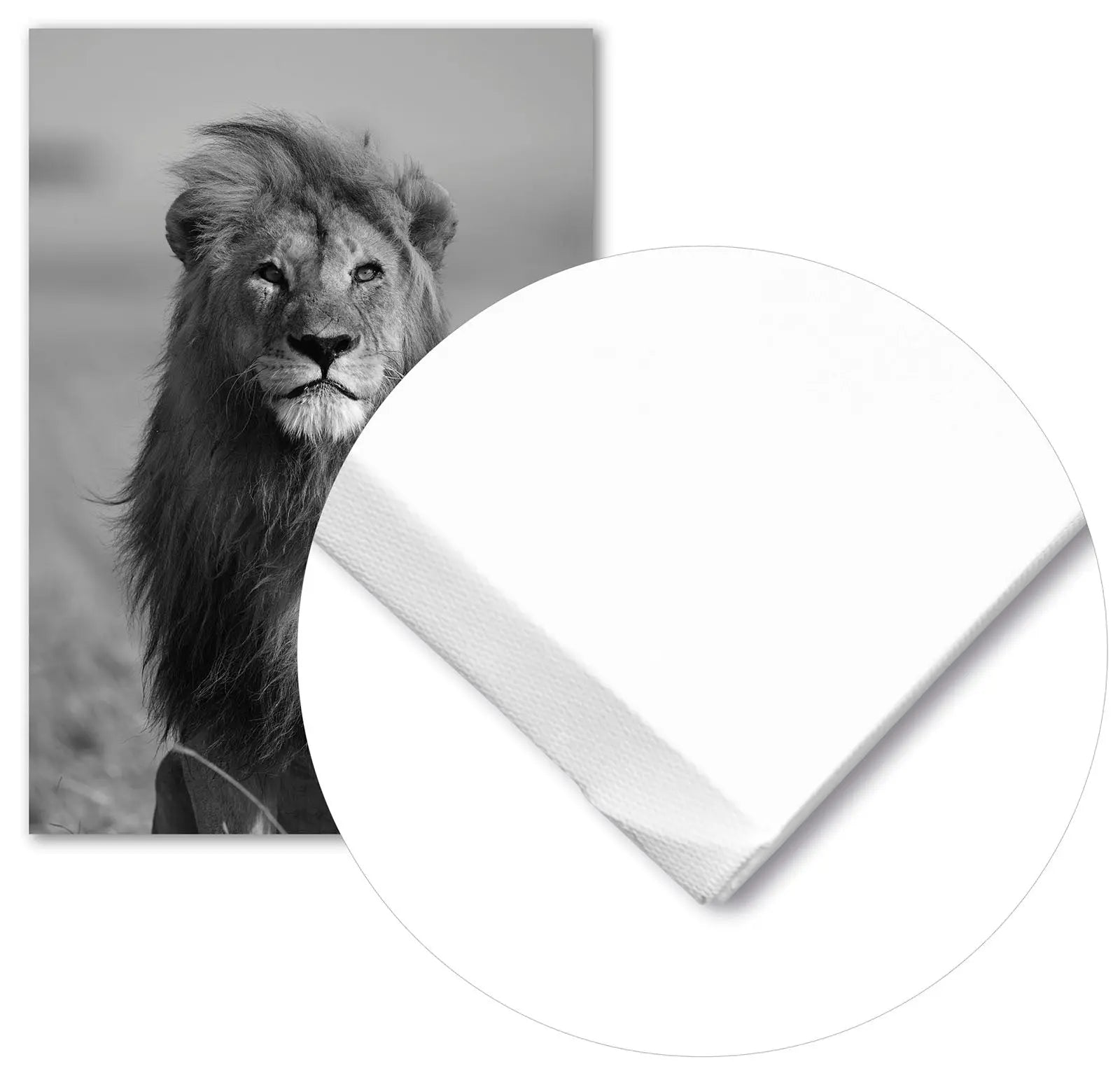 Cuadro León Africano Home & Living Lienzo70x100cm