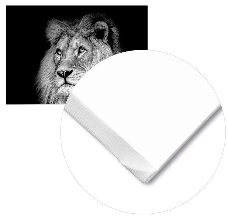 Cuadro León Blanco y Negro Home & Living 