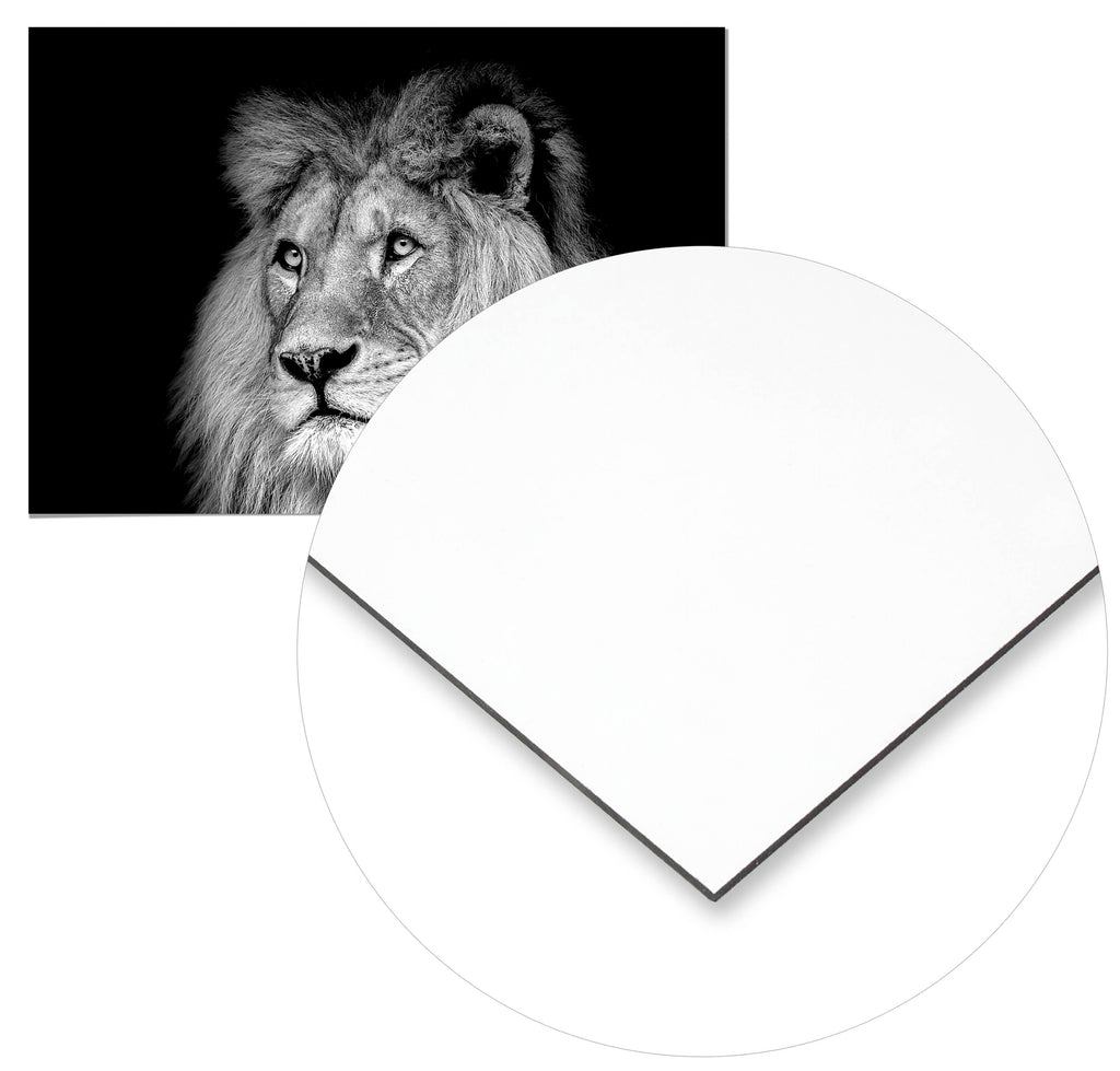 Cuadro León Blanco y Negro Home & Living 