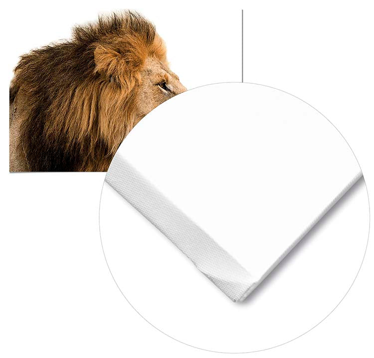 Cuadro León Home & Living 