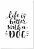 Cuadro Life is Better With a Dog Home & Living 