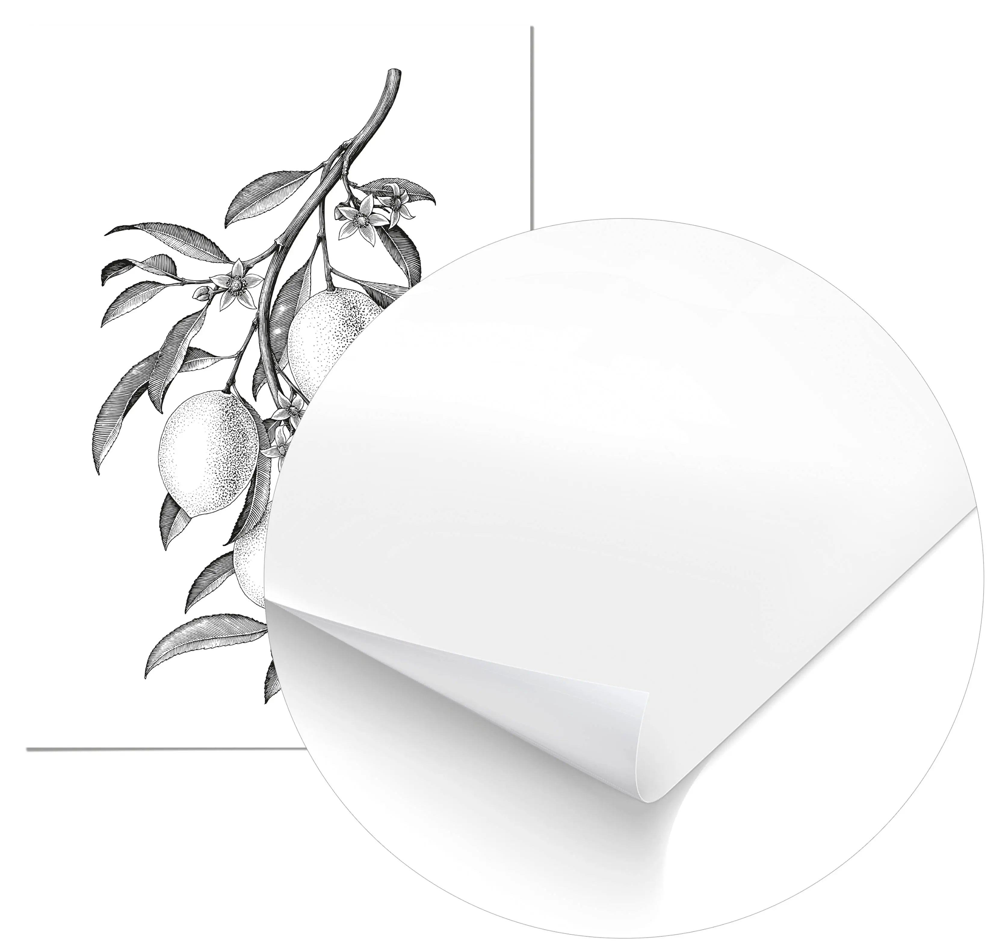 Cuadro Limones freeshipping - Home and Living