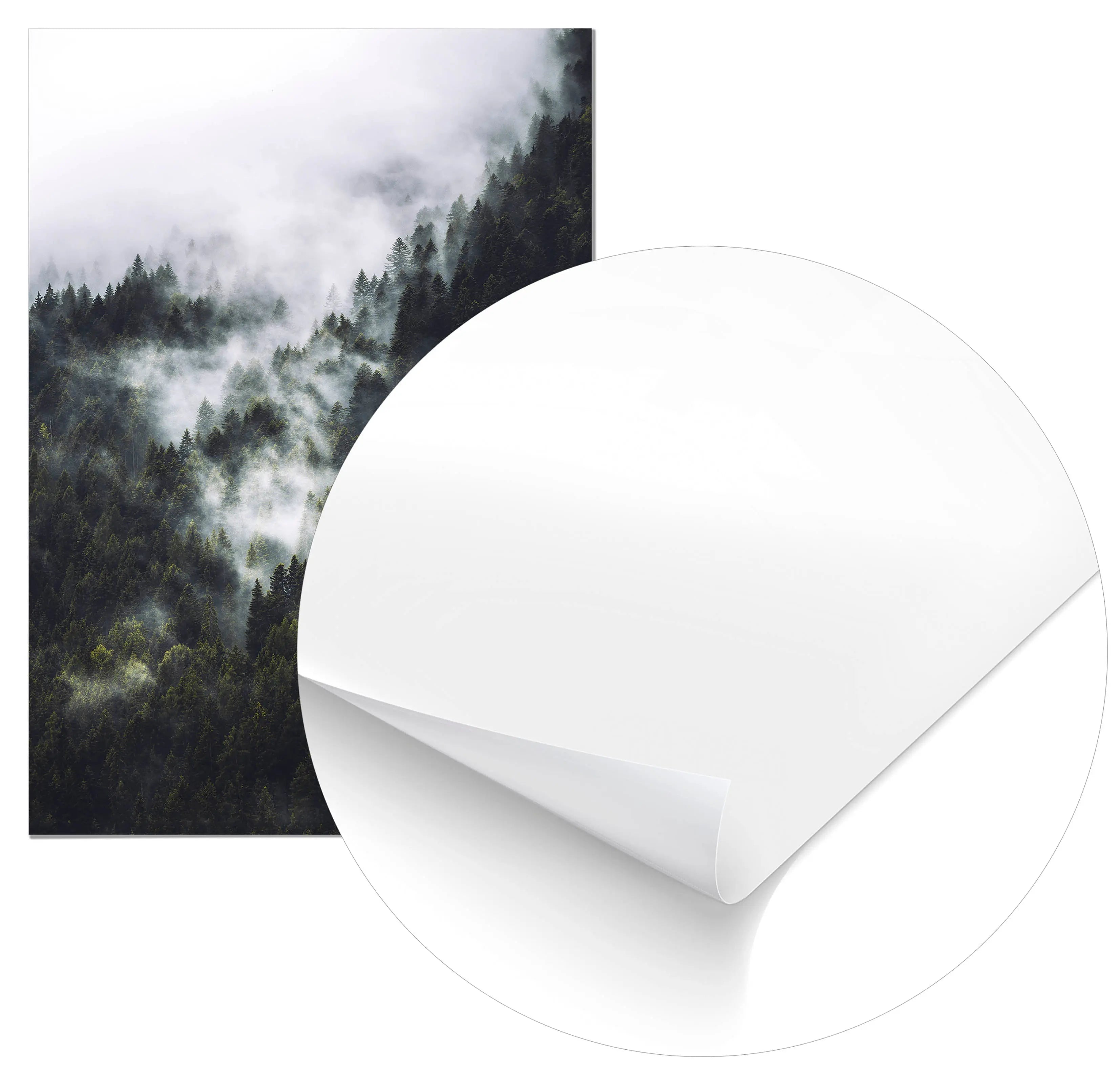 Cuadro Niebla en el Bosque freeshipping - Home and Living