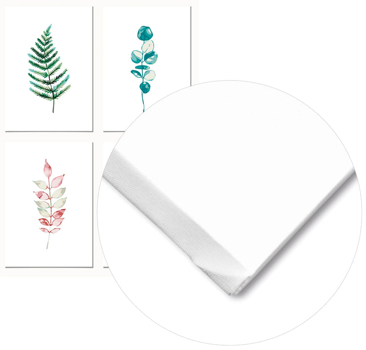 Cuadro Pack Plantas Botánica Home & Living Lienzo35x50cm