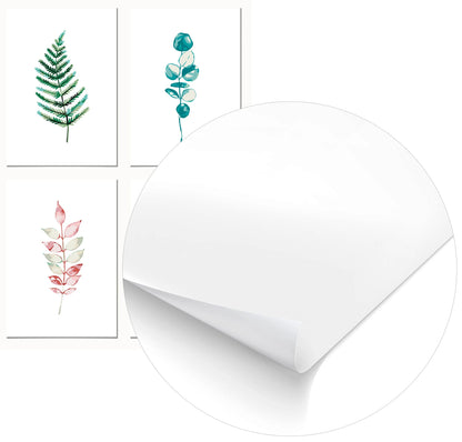 Cuadro Pack Plantas Botánica Home & Living Póster35x50cm