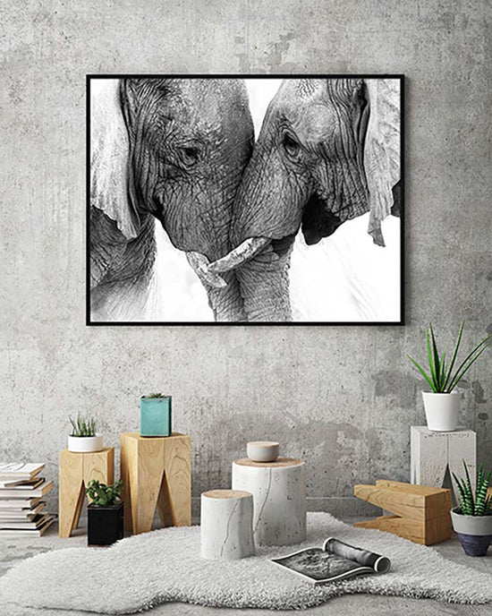 Cuadro Pareja de Elefantes Home & Living 