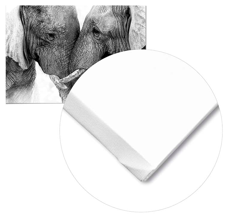 Cuadro Pareja de Elefantes Home & Living 