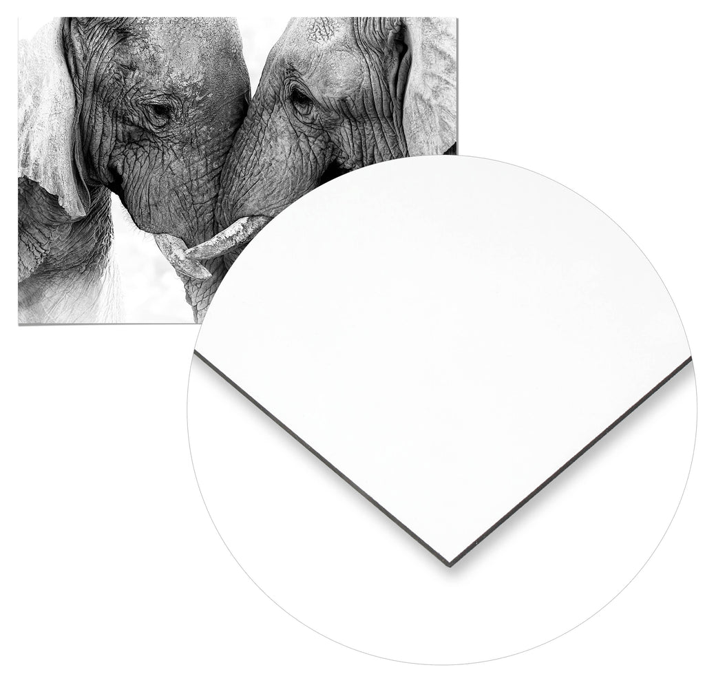 Cuadro Pareja de Elefantes Home & Living 