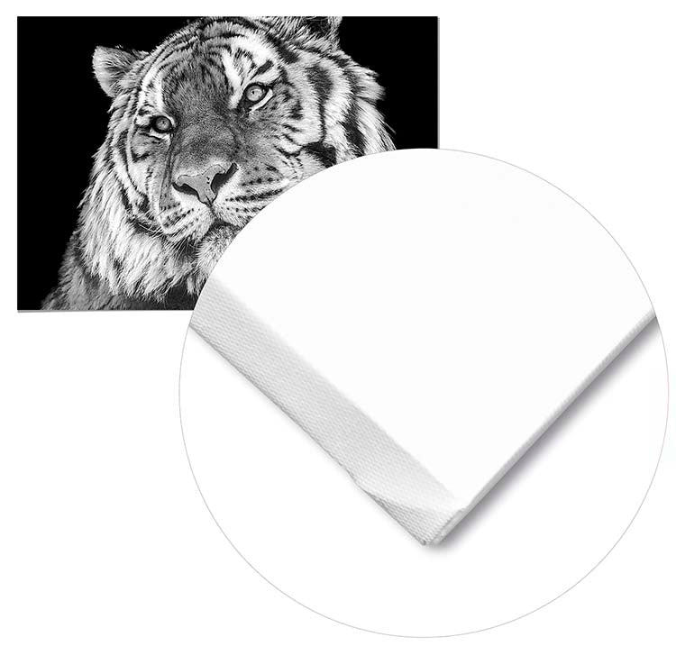 Cuadro Tigre Home & Living 